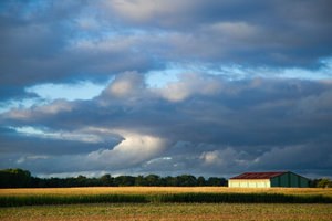 Vidange Fosse Septique Champs-sur-Marne